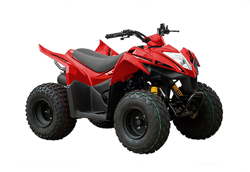 四輪バギー ATV - オートバイ車体